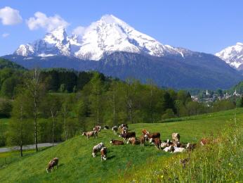 Ferienwohnung Watzmann